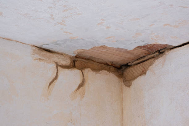 Best Local water damage restoration  in Gastonville, PA