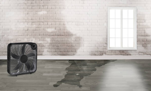 Best Residential water damage restoration  in Gastonville, PA