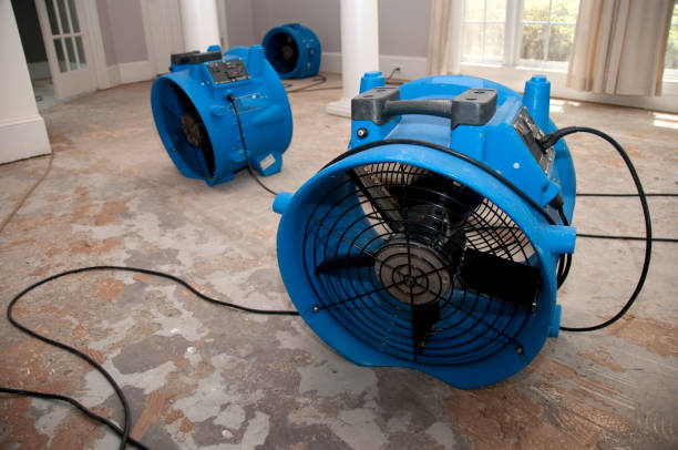 Best Water damage contractors near me  in Gastonville, PA