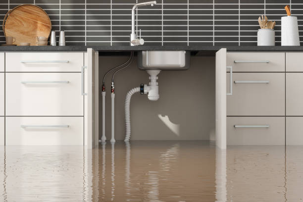 Best Basement water damage restoration  in Gastonville, PA