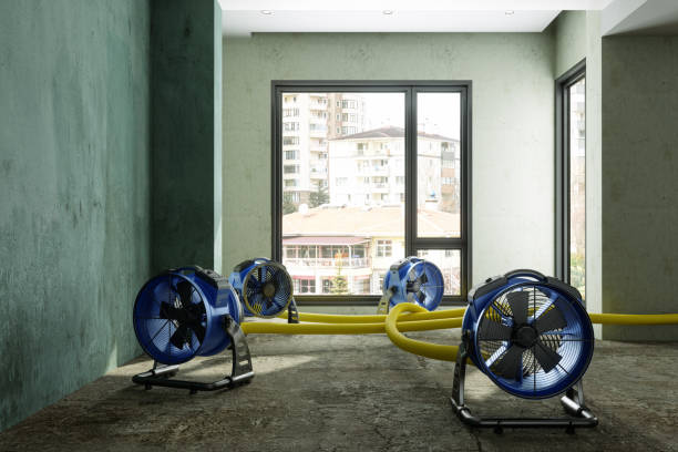 Best Water damage cleanup near me  in Gastonville, PA